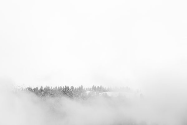 Arbre, Brouillard, Brumes, Concept, Flore, Montagne, Neige, Paysage